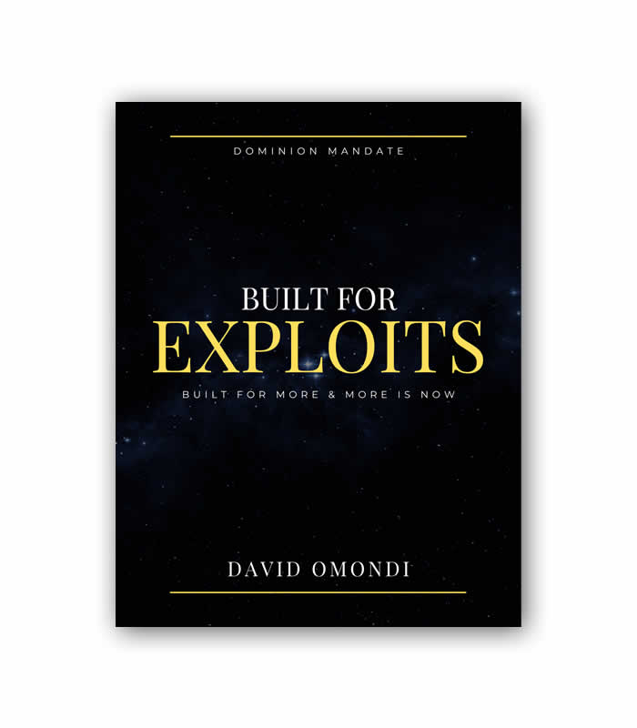 Built For Exploits Book